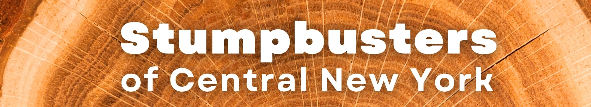 Stumpbusters of Central New York — brand banner on cut-wood grain