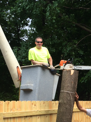 David Batchelor, owner of Stumpbusters, in the bucket truck with a chainsaw