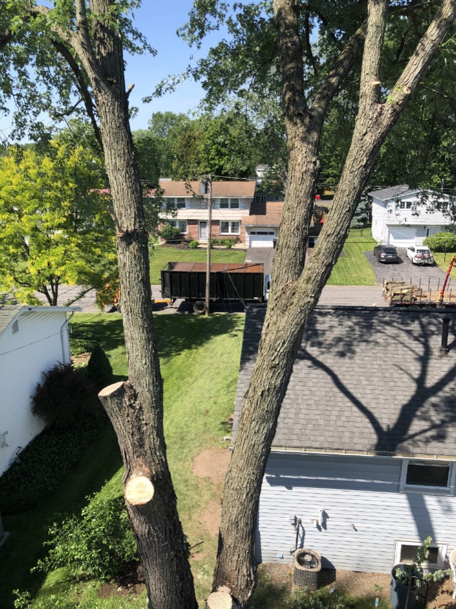 View down over a neighborhood from high in the Stumpbusters bucket truck