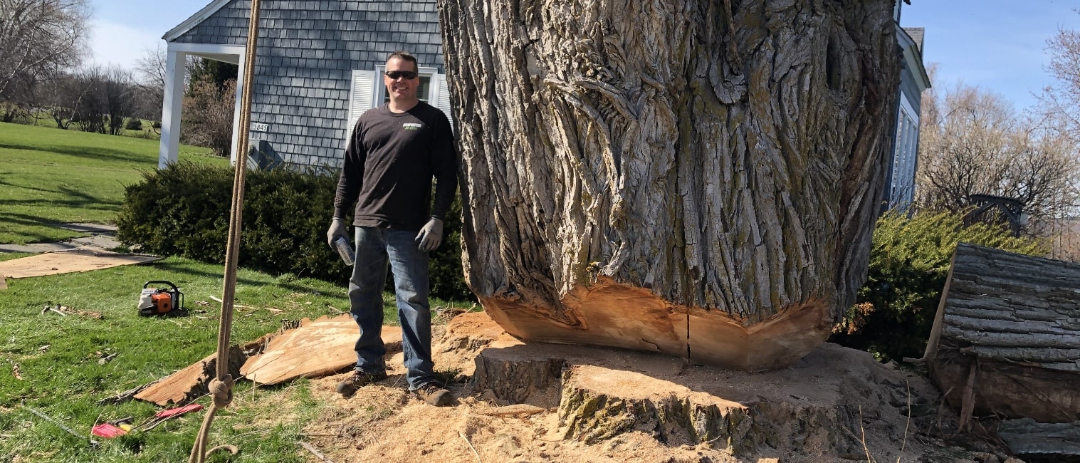 Owner Dave beside a large notched tree trunk on a residential property